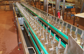 Trout_Conveyors