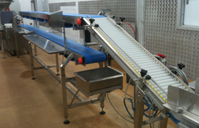 Conveyor Belts