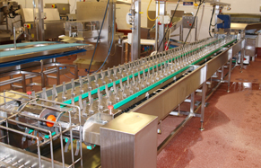 Trout_Conveyors